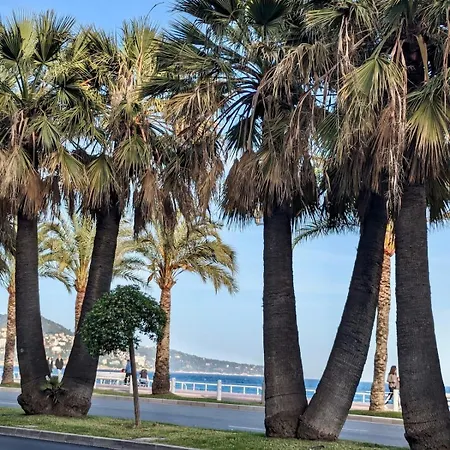 Apartment Rubis De Promenade Des *
